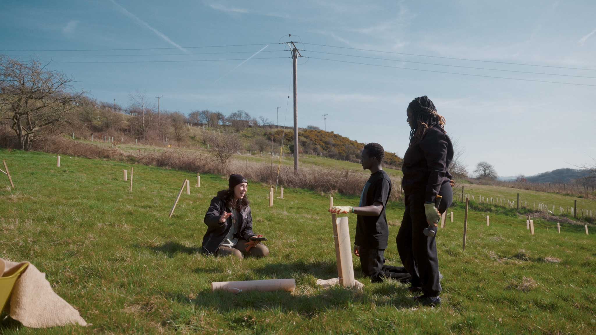 Students planting trees in the countryside