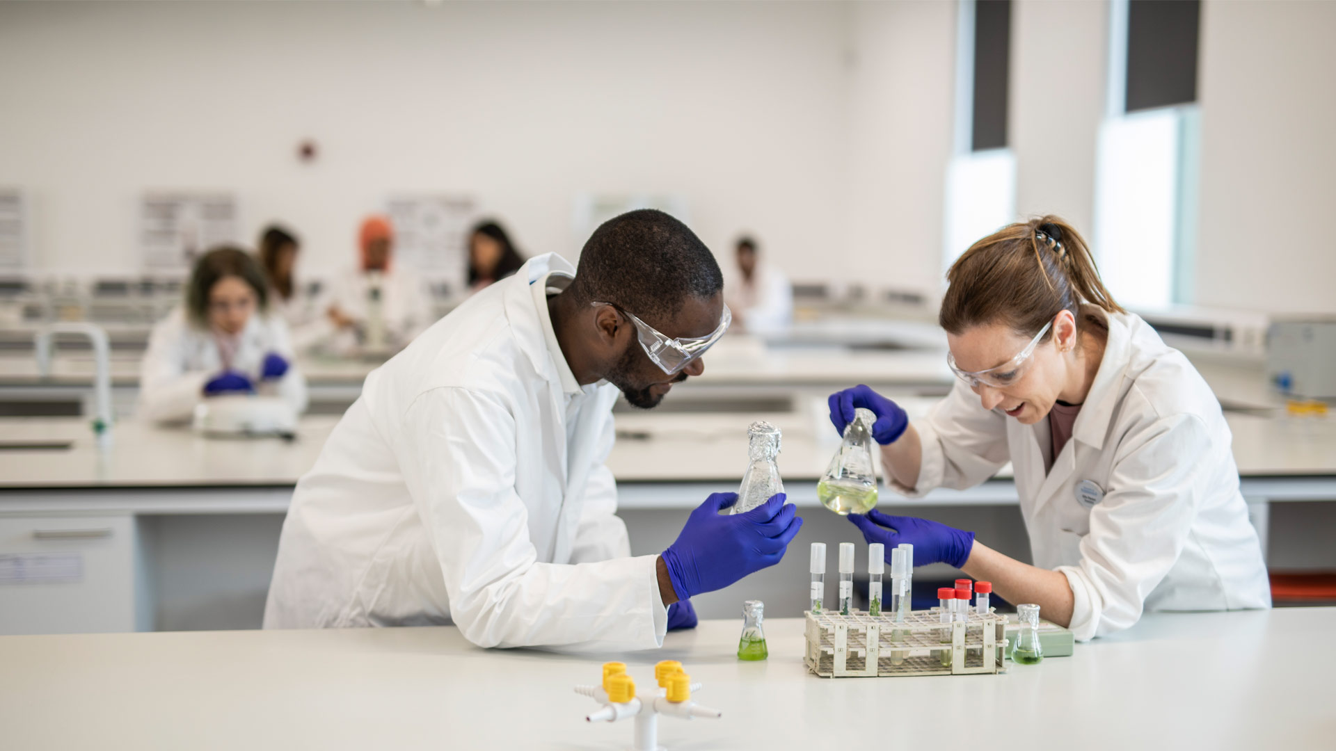Students working together on project in lab