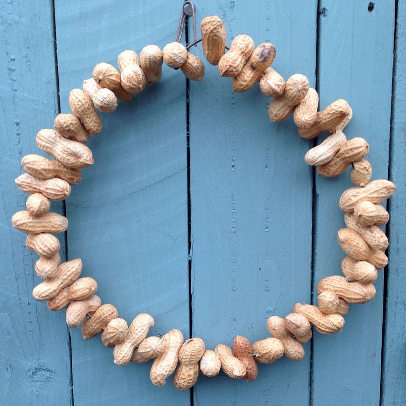 Bird feeding wreath peanuts