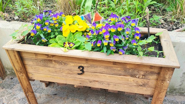 Allotment Events planter