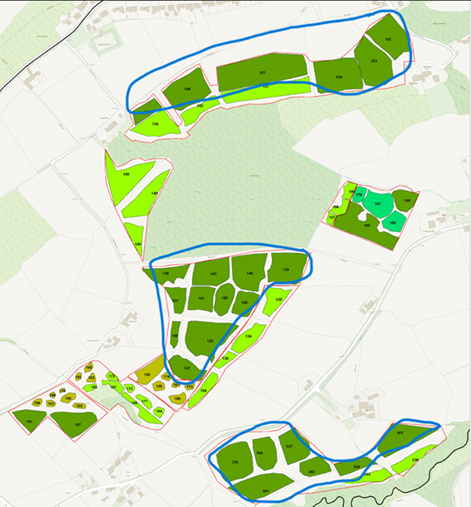 Castle Hill Tree Planting site