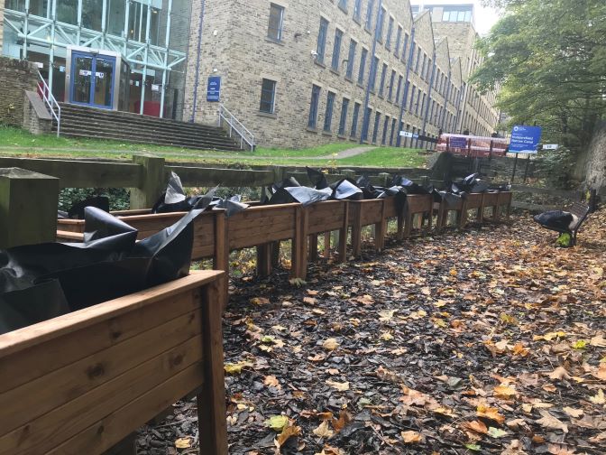 Canalside-Lining the planters