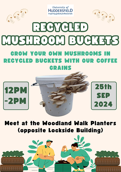 Mushroom bucket advert