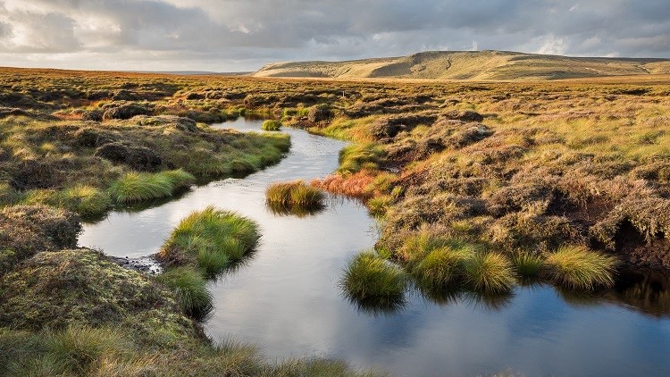 Marsden Moor 2