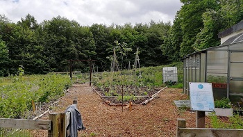View of the Storthes Hall Allotment