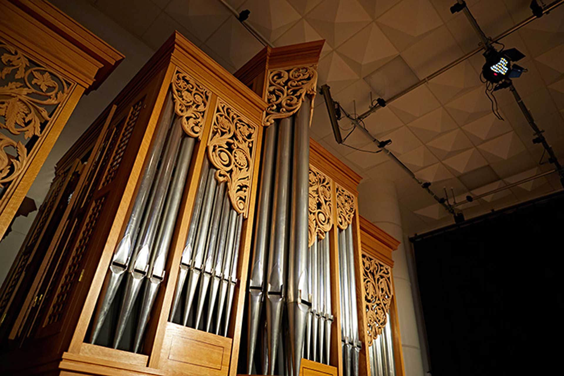 Organ Header Image