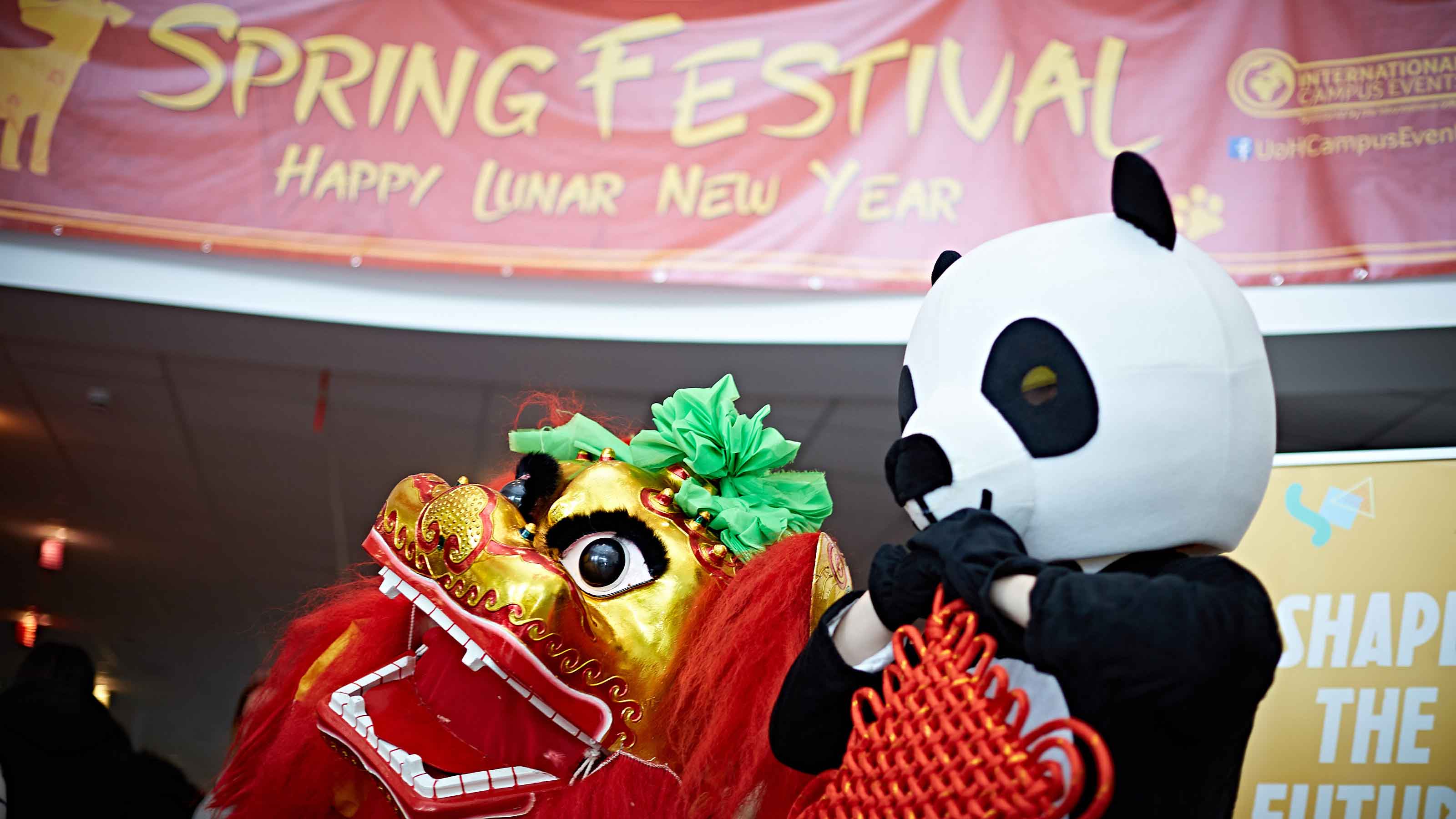 Spring Festival 2018