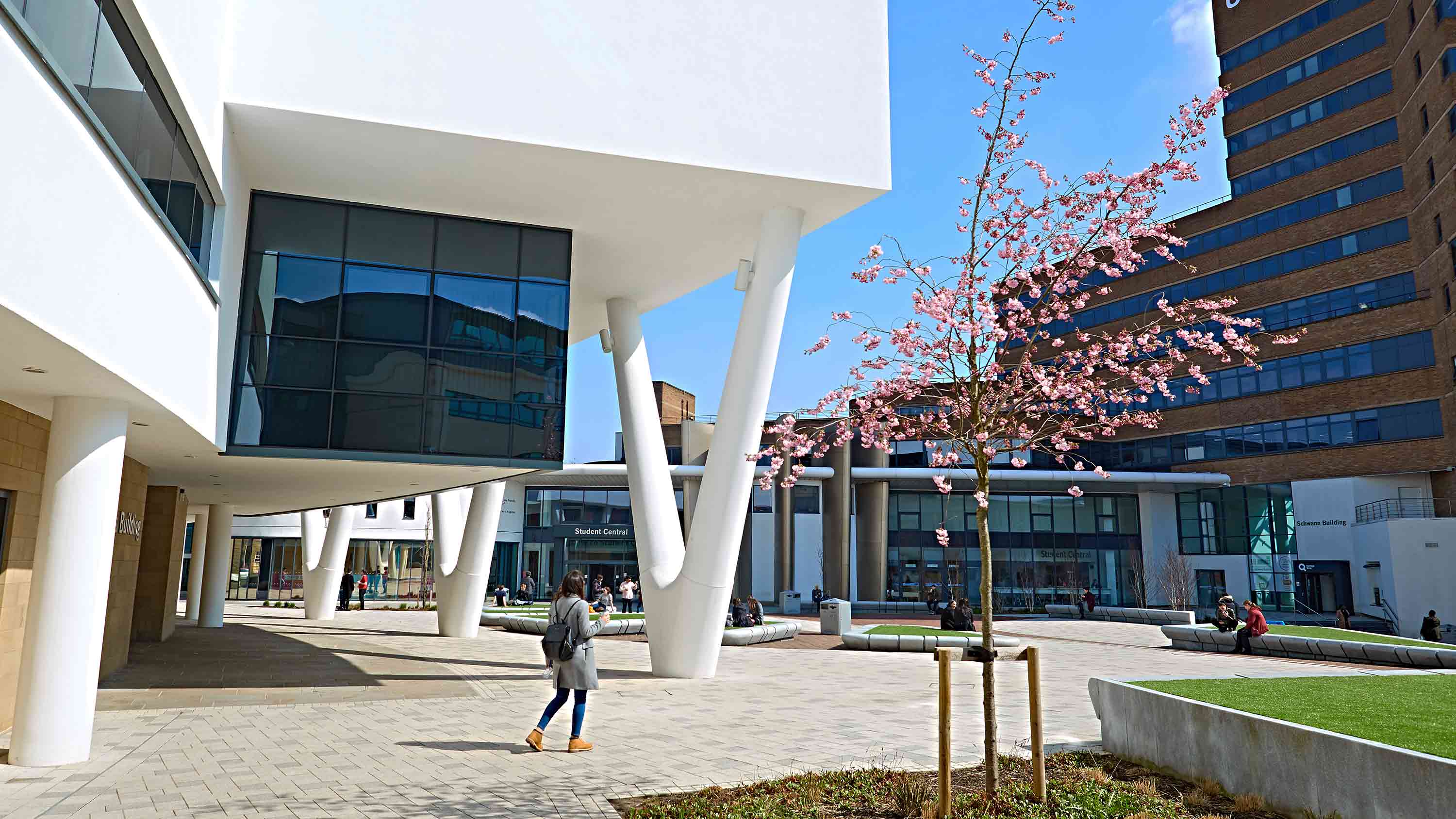 campus spring header
