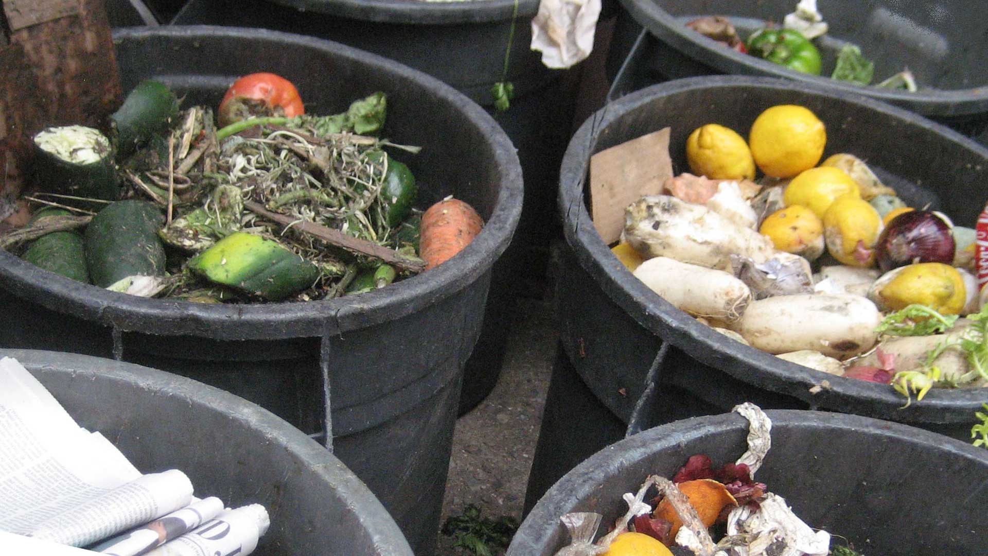 Food waste