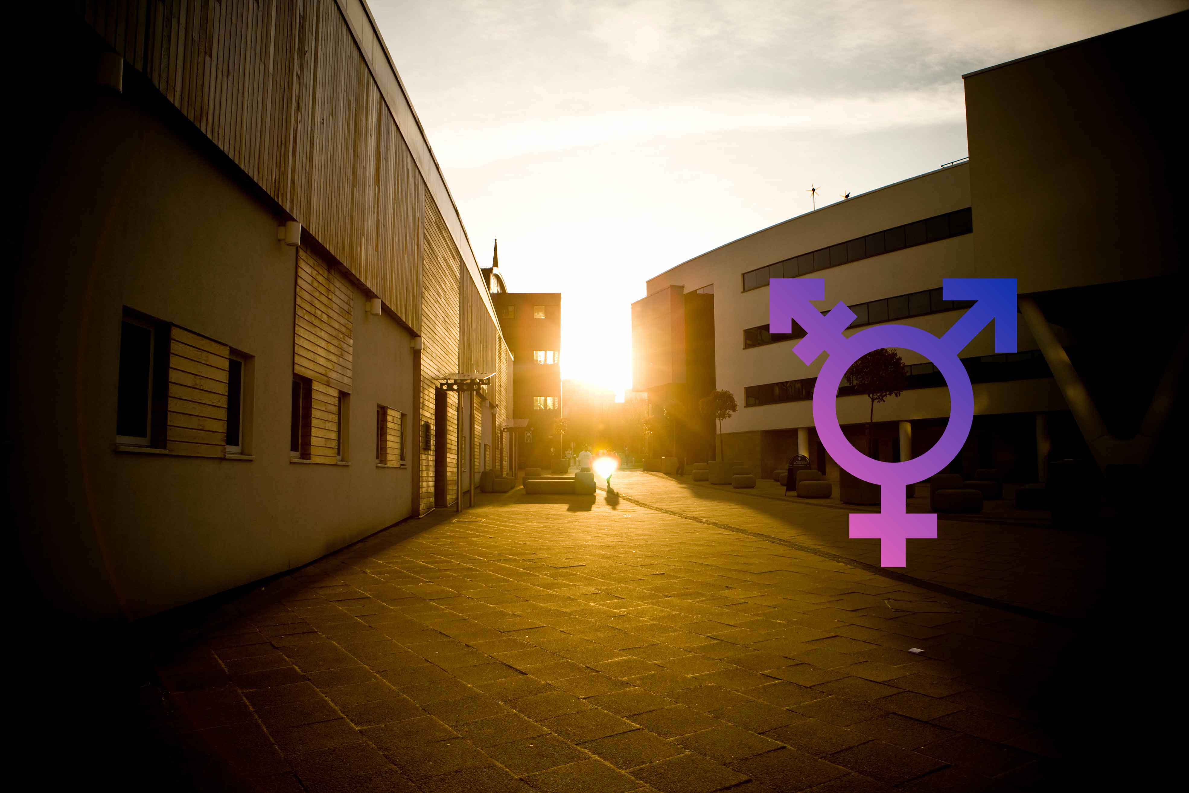 transgender