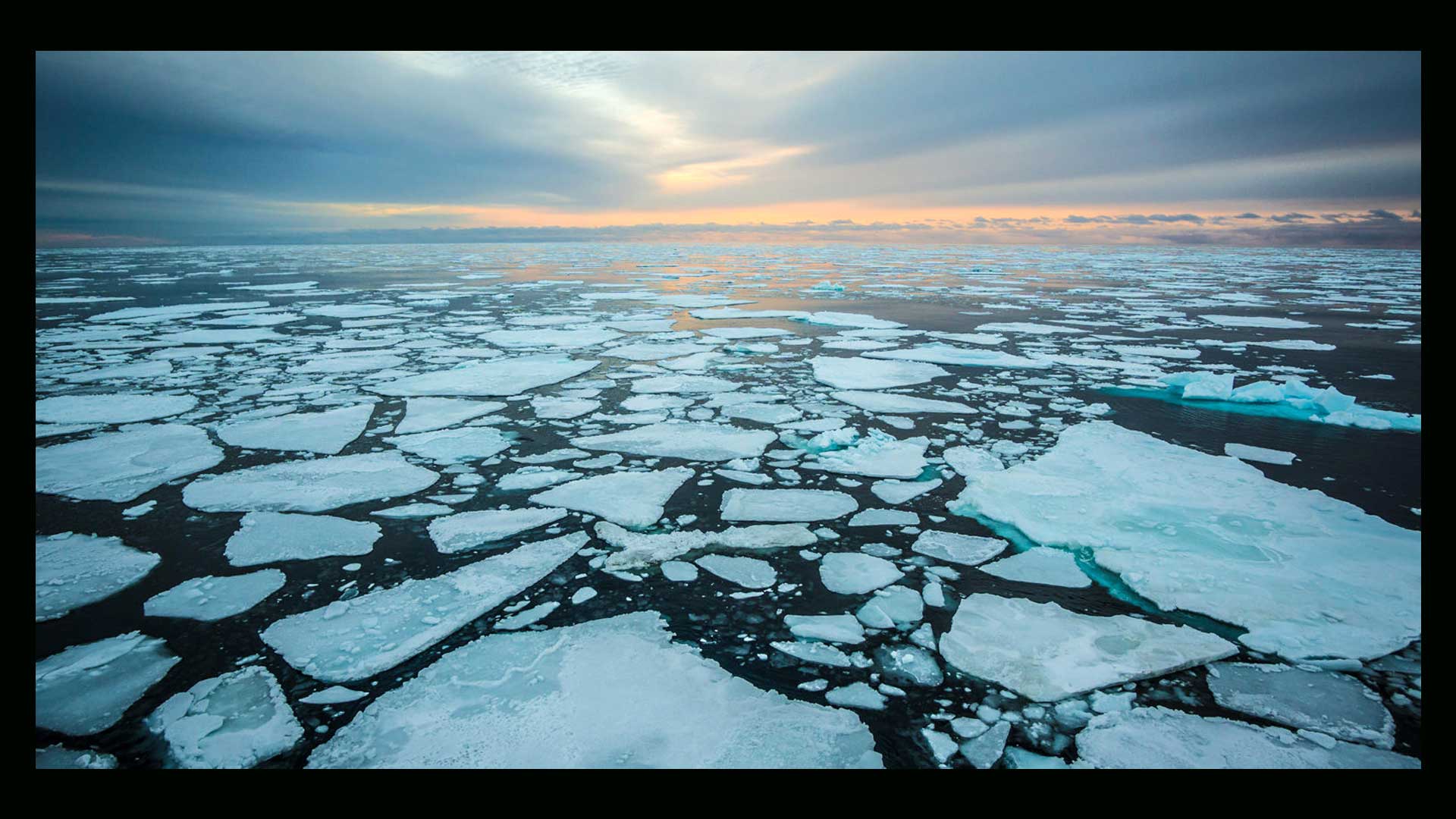 Сев вода. Арктика Северный Ледовитый океан. Ледяной Покров Северного Ледовитого океана. Дрейфующие льды в Северном Ледовитом океане. Северный Ледовитый океан площадь льдов Арктики.