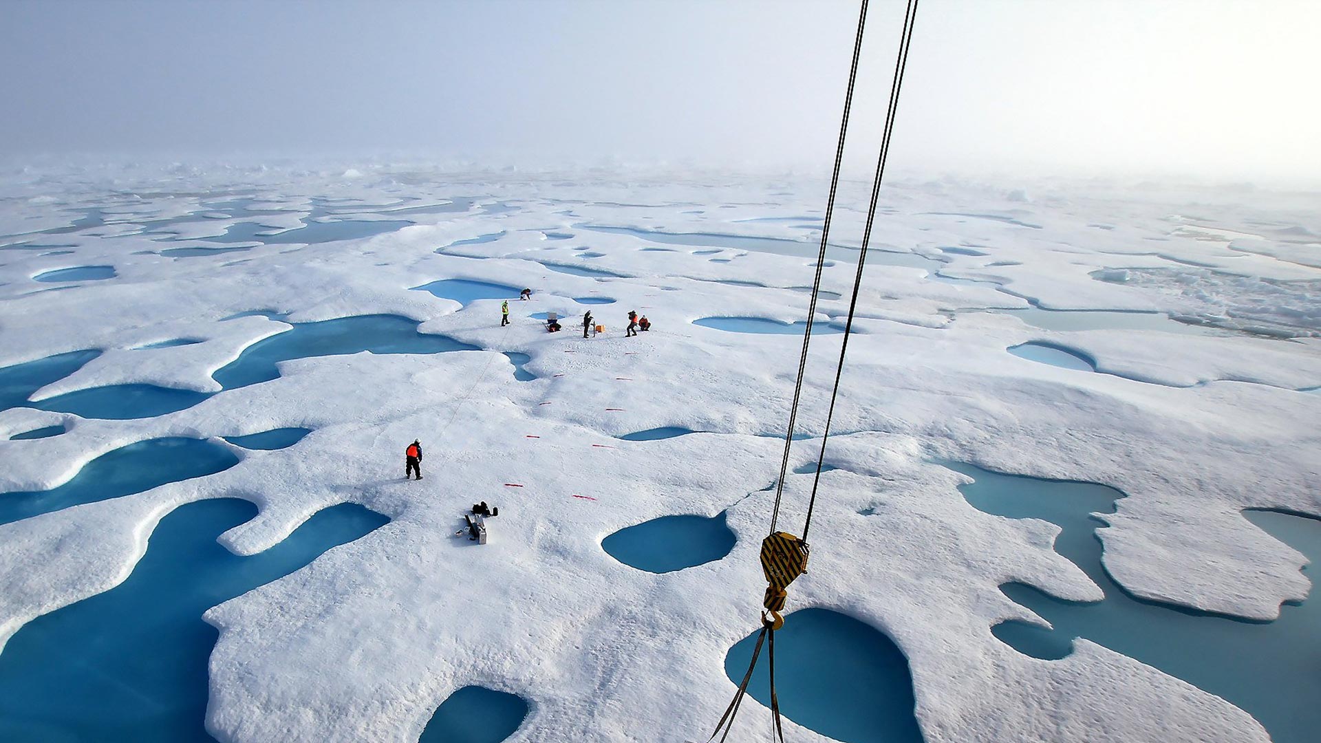 Scientists conducting research into Arctic sea-ice