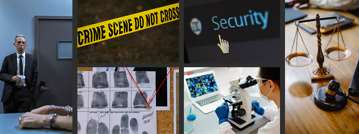 Crime and security practitioners collage