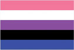 Gender Fluid Flag