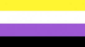 Non-Binary Flag