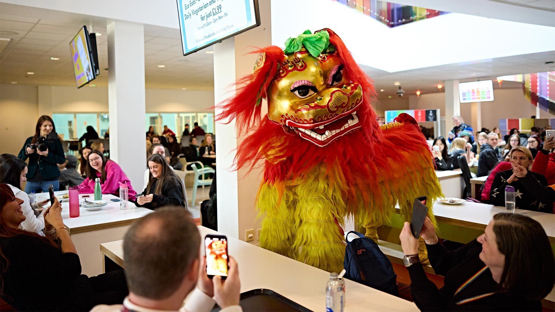 A Chinese lion costume