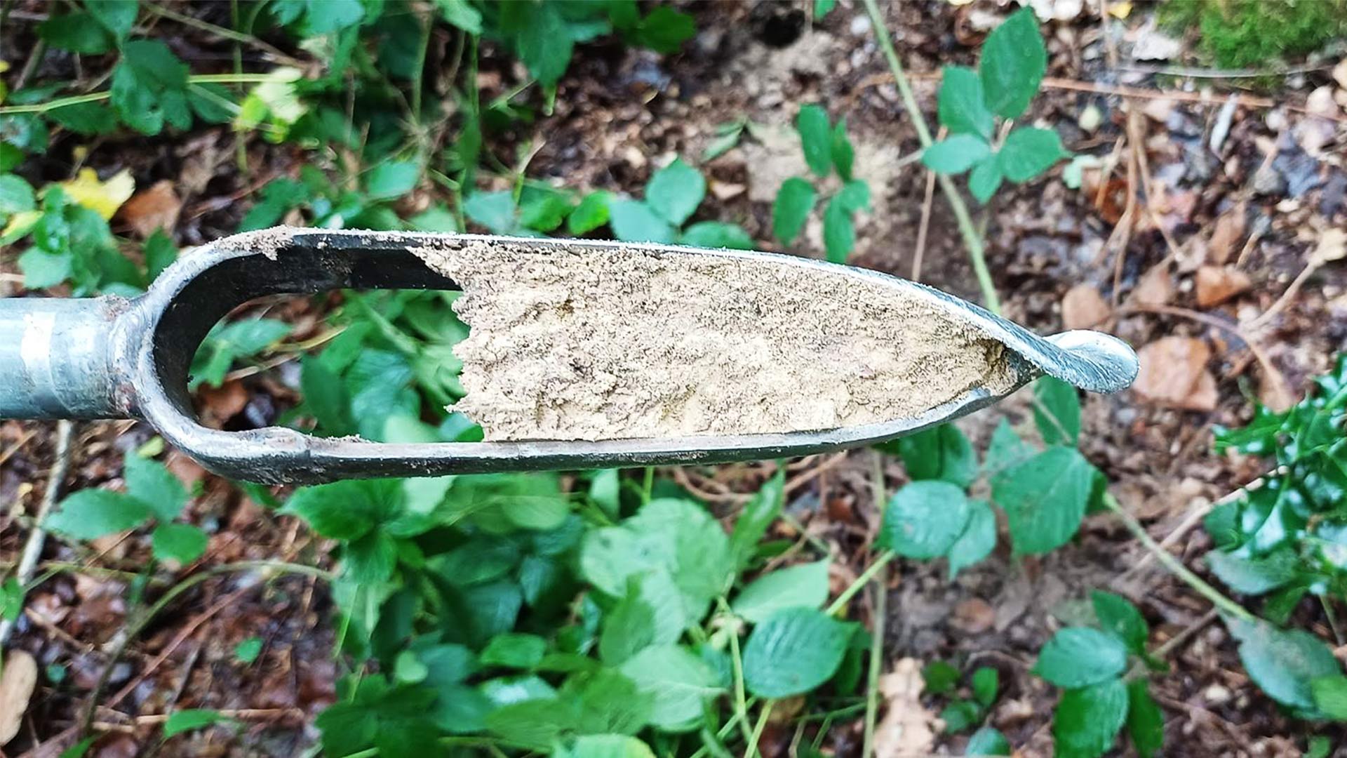 A soil sample being taken