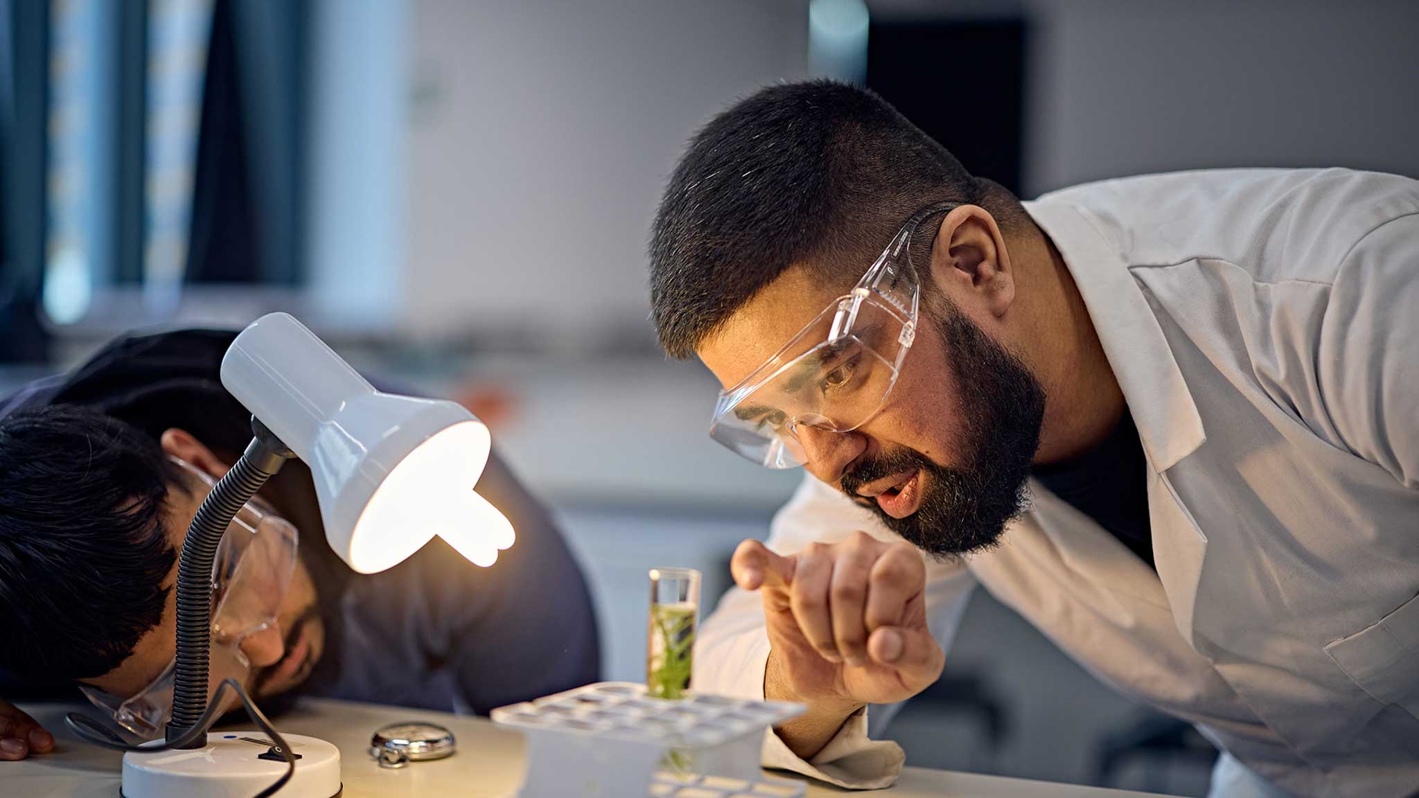 Placement student working in a scientific lab