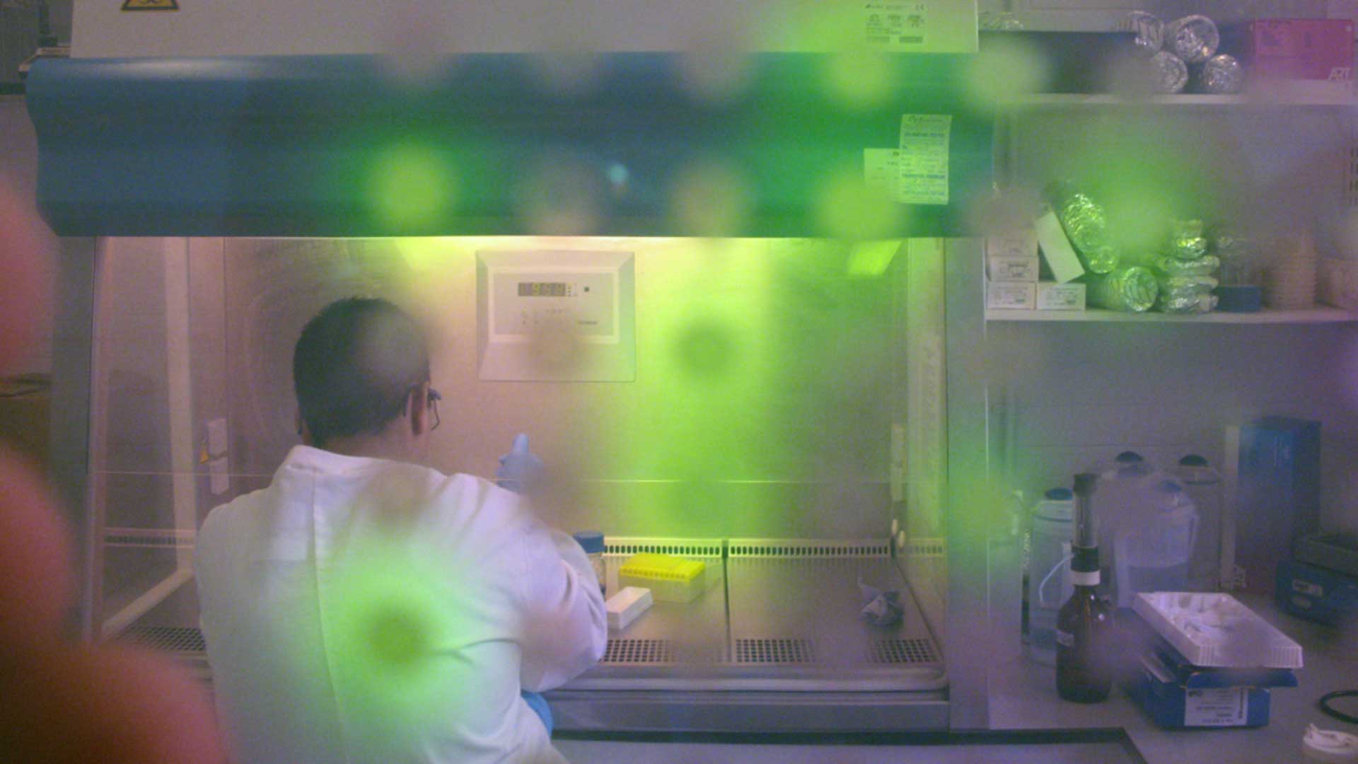 Researcher working in a clean cupboard viewed through a petri dish containing samples