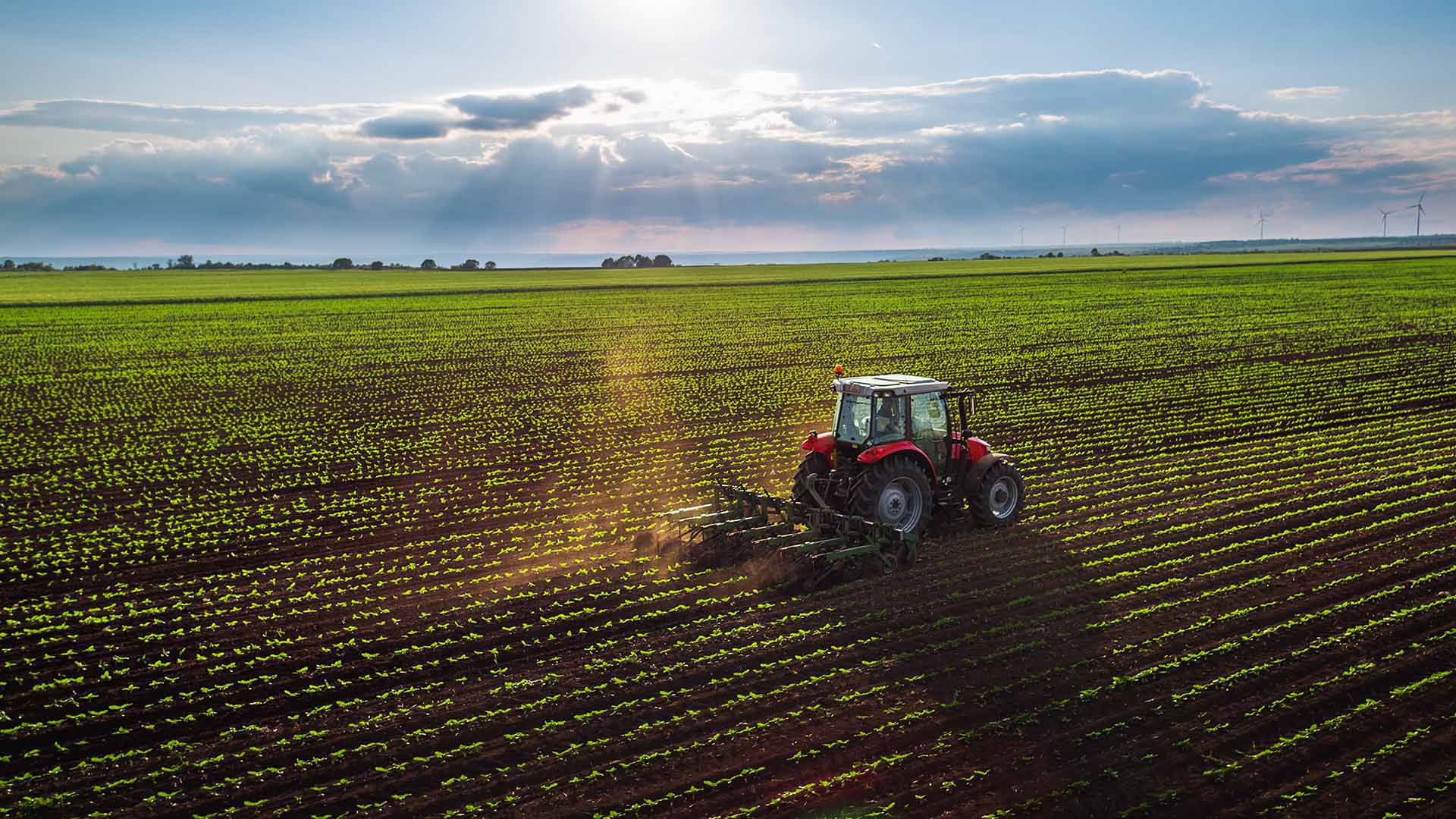 Image showing a tractor on a field on a sunny day